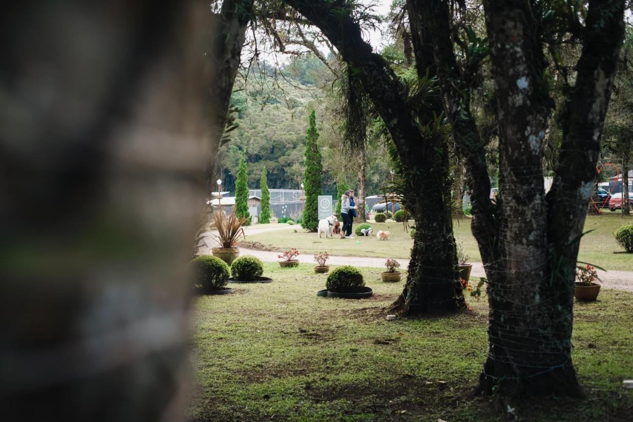 Roehsler Monte Verde (Minas Gerais)